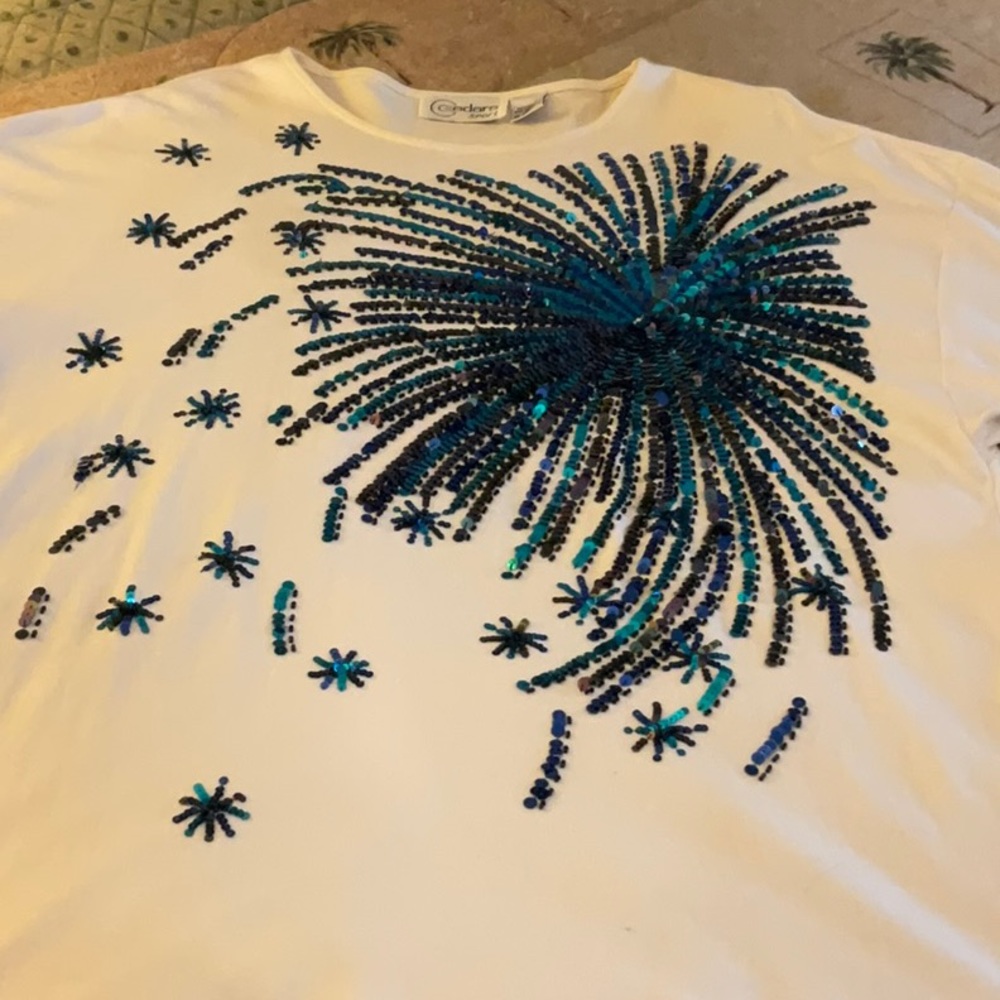 Vintage Bursting Sequins Top